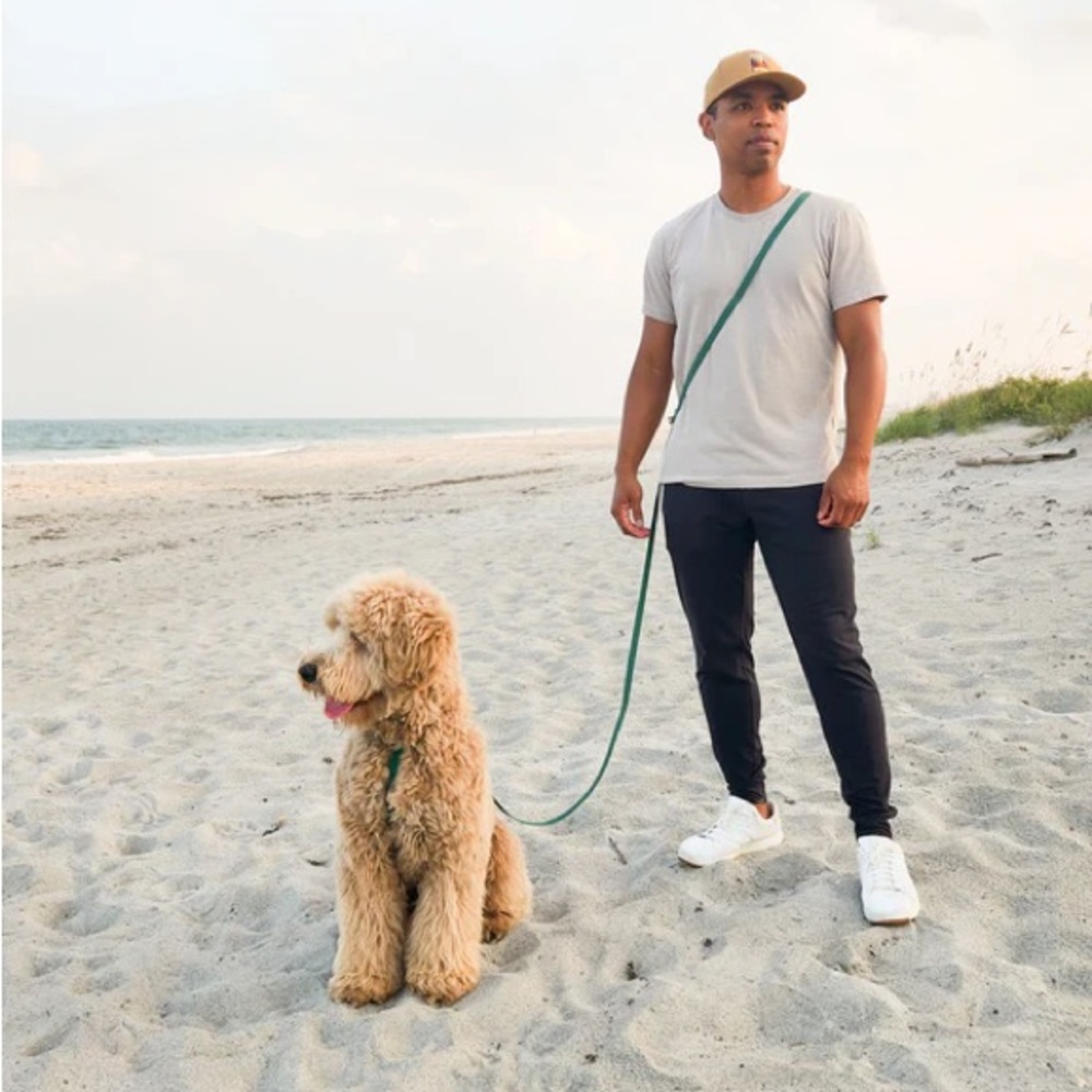 NWT Sunny Tails 4-in-1 Convertible Hands Free Cloud Dog Leash - Picture 2 of 6